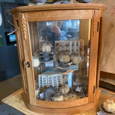 Vintage Wood and Glass Cabinet