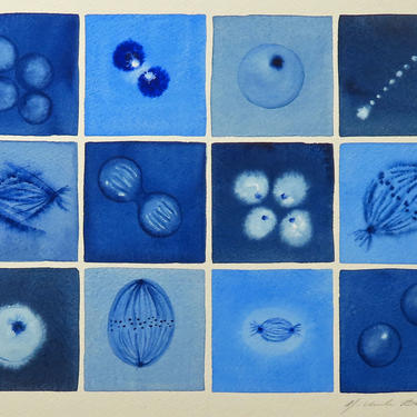 Blue Mitosis - Original Watercolor Painting of Cell Division - Biology Art 