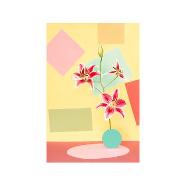 Still Life With Stargazer Lily No. 5: Floral Print Modern Art Wall Hanging Abstract Art Decorative Art Fine Art Photography 