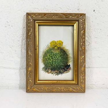 True Vintage Framed Christmas Cactus Print Gold Frame Lithograph Litho Book Plate Flowers Green Desert 