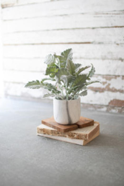 Plant In Faux Marble Pot