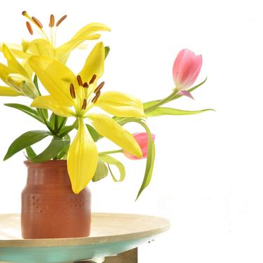 Handmade Terra-cotta vase, herb planter, Housewarming gift, Unique pottery, Hostess gift, wedding centerpiece 