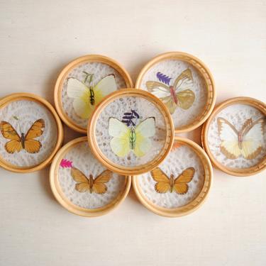 Vintage Butterfly Coasters, Bamboo and Pressed Butterfly Vintage Drink Coasters 