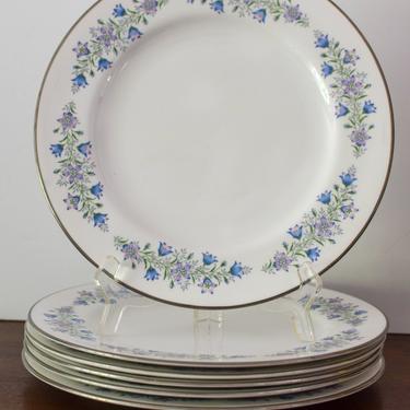 Set of 6 Vintage Spode Dinner Plates in &amp;quot;Maytime&amp;quot; Pattern 