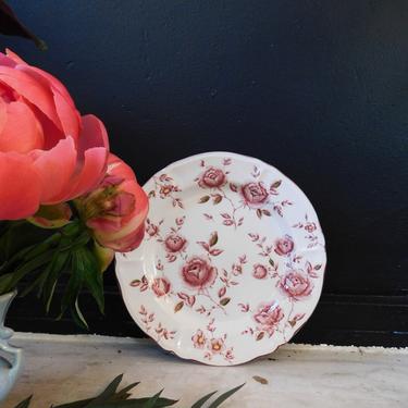 Rose Flora Dinner Plates (set of 4)