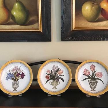 Decorative Botanical Plates-set of 3 from Chelsea House 