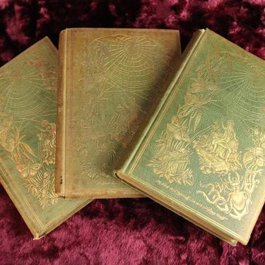 Episodes of Insect Life, Three Volume Set by L.M. Budgen, 1851, First American Edition 