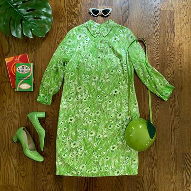 60s Green Floral Mini Dress / Semi Sheer/ Collared dress/ Peter Pan Collar / 