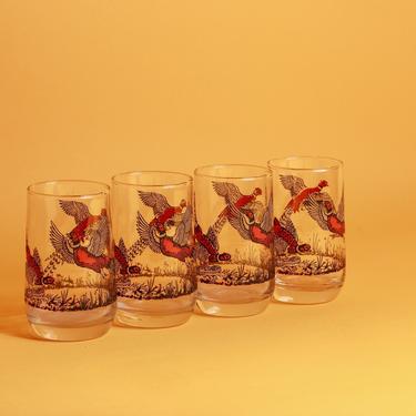 Set of 4 Vintage 70s Black Red Bird Novelty Drinking Clear Glasses Cups 
