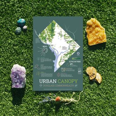Urban Canopy Map: A map of DC urban forest 11x17 or 24x36 