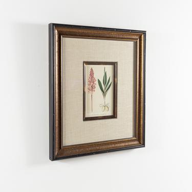 Orchis Mascula Flower Botanical Framed Print by ModernHill