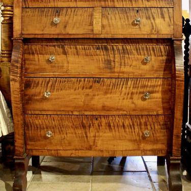 19th Century American, Empire Chest in Tiger Maple, Scroll Feet and Period Glass Knobs. Original Finish