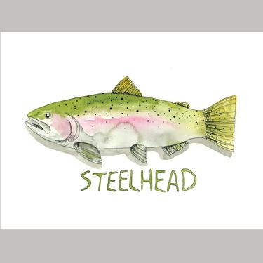 Fish Steelhead Watercolor Art Print