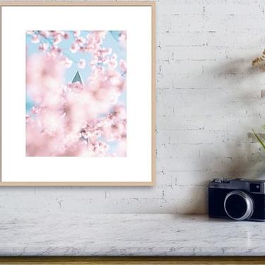 Travel Photo, Cherry Blossom Print, Spring Flower Print, Washington DC Photo, Cherry Blossom Photo, Washington DC Print, Pink Flower Decor 