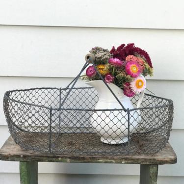 Beautiful vintage French wire picking basket with wooden handle 