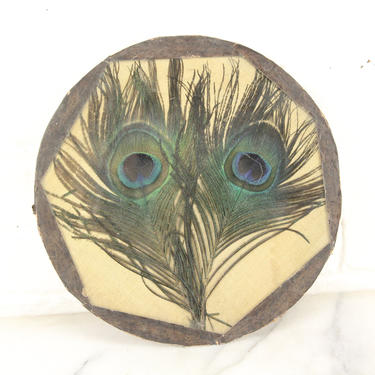 Peacock Feather Encased in Round Glass 