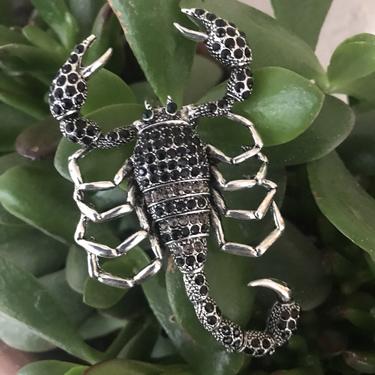 Silver Scorpion Brooch