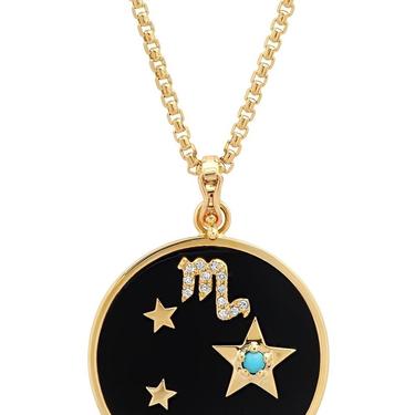 Large Onyx Zodiac Necklace - Capricorn on 18” Chain