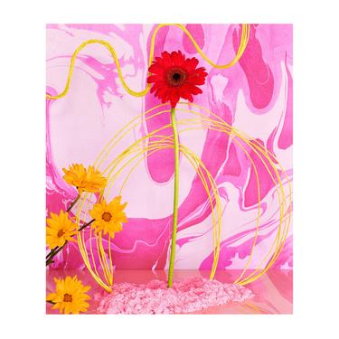 Red & Orange Flowers with Pink Marbled Paper, Abstract Florals, Modern Botanicals, Marbled Paper Art, Floral Still Life, Floral Fine Art 