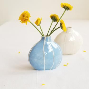 FEDEX shipping for Light Blue bud vase 