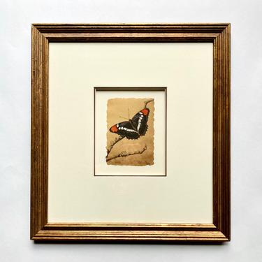 Melanie Fain Texas Artist Etching Print Butterfly, Signed & Numbered Naturalism 