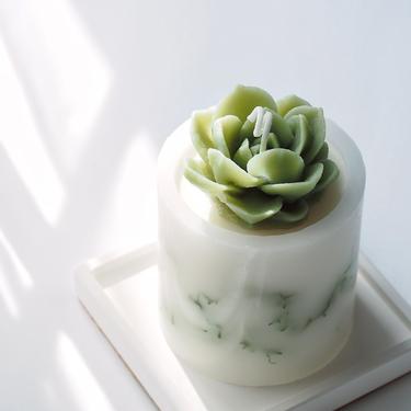 Succulent Candle, Moss Candle, Natural Designed Candle, Soywax Candle, Handmade Gift, Home Decor, Holiday Gift, Art work 
