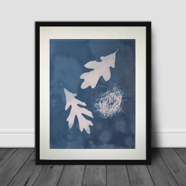 Nestfall-
Cyanotype Print