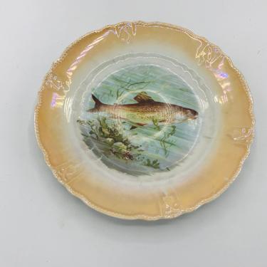 Antique Vintage Fish Collectible plate  Hand Painted from 1800's- opalescent amber border 