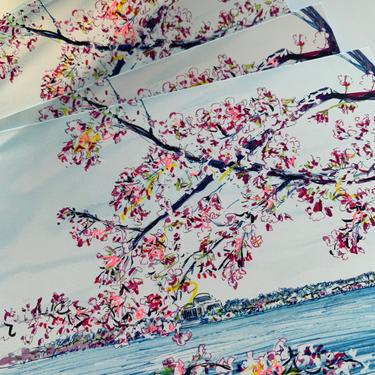 Washington DC Cherry Blossom Greeting Cards by Cris Clapp Logan 