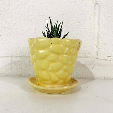 Vintage McCoy Planter Pebble Pattern Sunshine Yellow Mustard Butter Brush Attached Saucer Mid-Century Pottery Pot Made in the USA 1950s 50s 