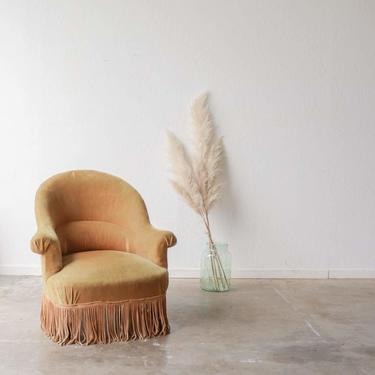 Gold Velvet Crapaud Chair