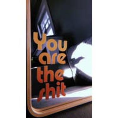 You are the Sh*t Mirror Decal