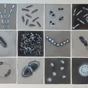 Black and White Bacteria  - original watercolor of microbes - microbiology painting 