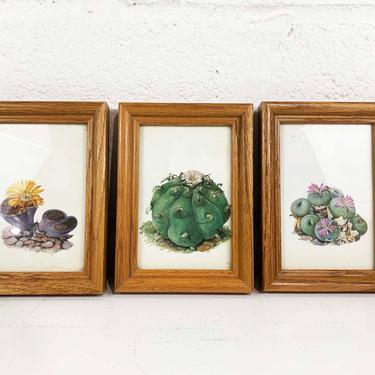 Vintage Framed Cactus Wooden Wood Frame Lithograph Litho Book Plate Flowers Green Desert Set of 3 Boho Style Desert Home Bohemian 