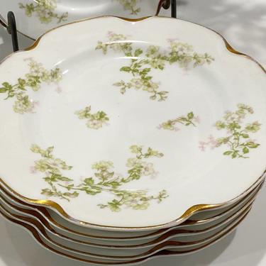 6 antique Haviland Limoges Plates with Pale Pink Flowers Green Leaves and Scalloped Gold Edges Schleiger 61l 
