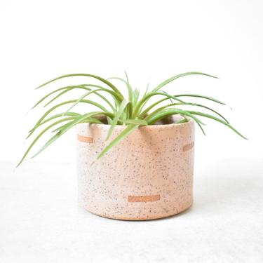 Mini Blush Pink Planter Set Modern Ceramic Planter and Base 
