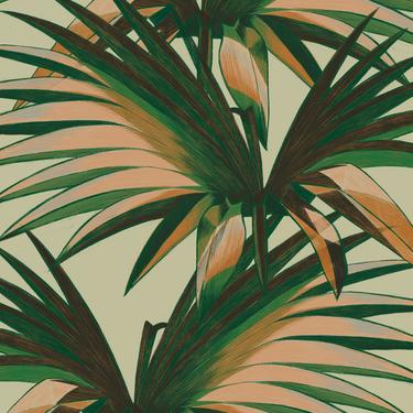 original art print - glicee - palm by Kate Blairstone at birdloft art spot 