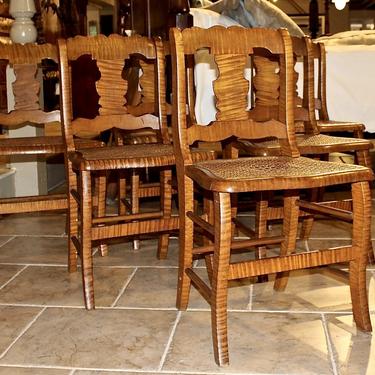 Set of 6 Saber Leg Chairs in Tiger Maple, 19th Century