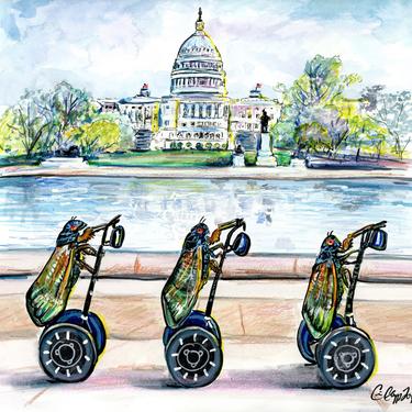 Tourist Season 2021 Brood X Cicadas Illustrated by DMV artist Cris Clapp Logan 