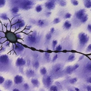 Motor Neuron on Purple - original watercolor painting of brain cell - neuroscience art 