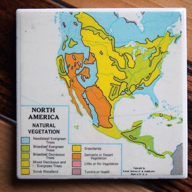1970 North America Vegetation Handmade Repurposed Vintage Map Coaster - Ceramic Tile - Repurposed 1970s Rand McNally Atlas - Ecology 