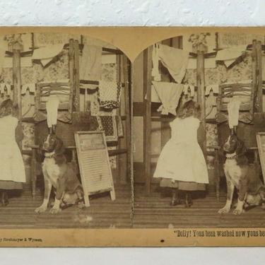 Antique 1890 STEREOVIEW PHOTO COUNTRY GIRL WASHING SPANIEL DOG Kid Homestead Art