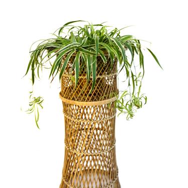 Mid-Century 3 Foot Woven Rattan Fern/Plant Stand || Bohemian Chic Decor || Natural or Custom Color Available 