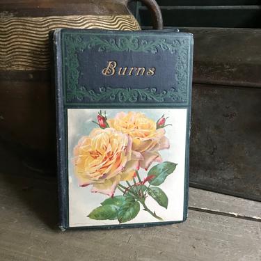Robert Burns Hardcover Book, The Poetical Works of, Poetry, Color Illustrations 