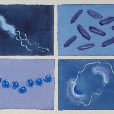 Bacteria in Lavender and Blue - original watercolor painting - microbe art 