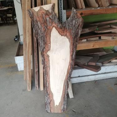 Treincarnation Live Edge Lumber – Maple 10-22.5&quot;x39-46&quot;