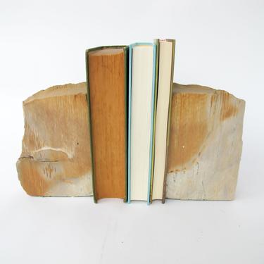 Petrified Wood Bookends 