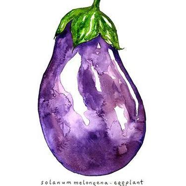 Eggplant Watercolor Illustration Art Print