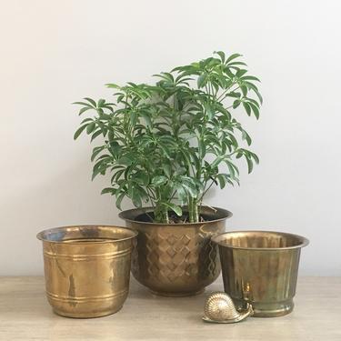 Brass Planters Set of Three 3 Rustic Striped Geometric Graduated Gold Metal Flower Pots 