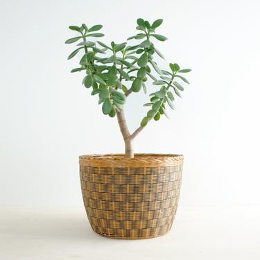 Vintage Woven Bamboo Basket, Plant Basket, Black and Neutral Colored Basket 